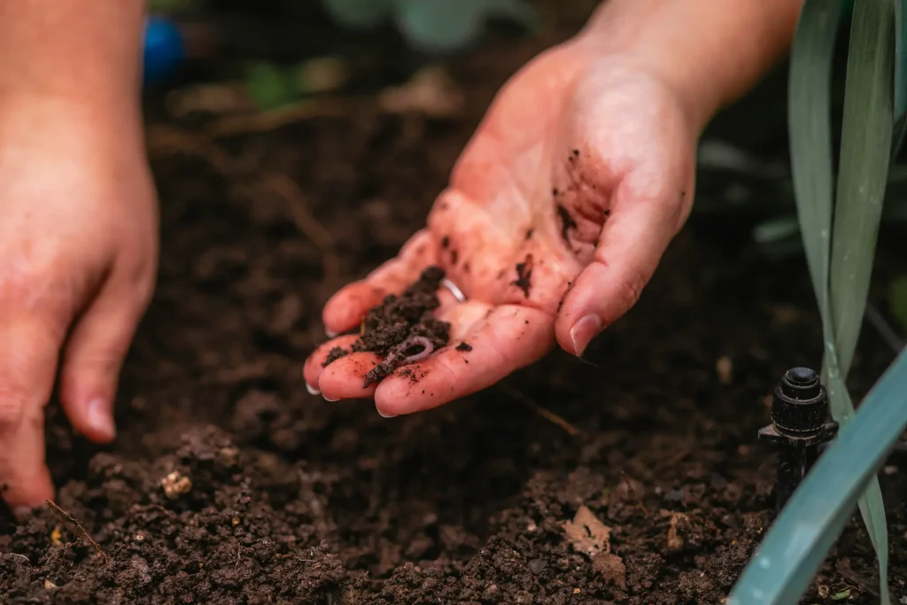 Bildausschnitt einer mit feuchter Erde bedeckten Hand, die einen Regenwurm hält.
