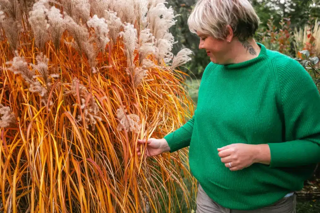Cornelia bewundert leuchtend oranges Miscanthus sinensis – Chinaschilf im Garten.