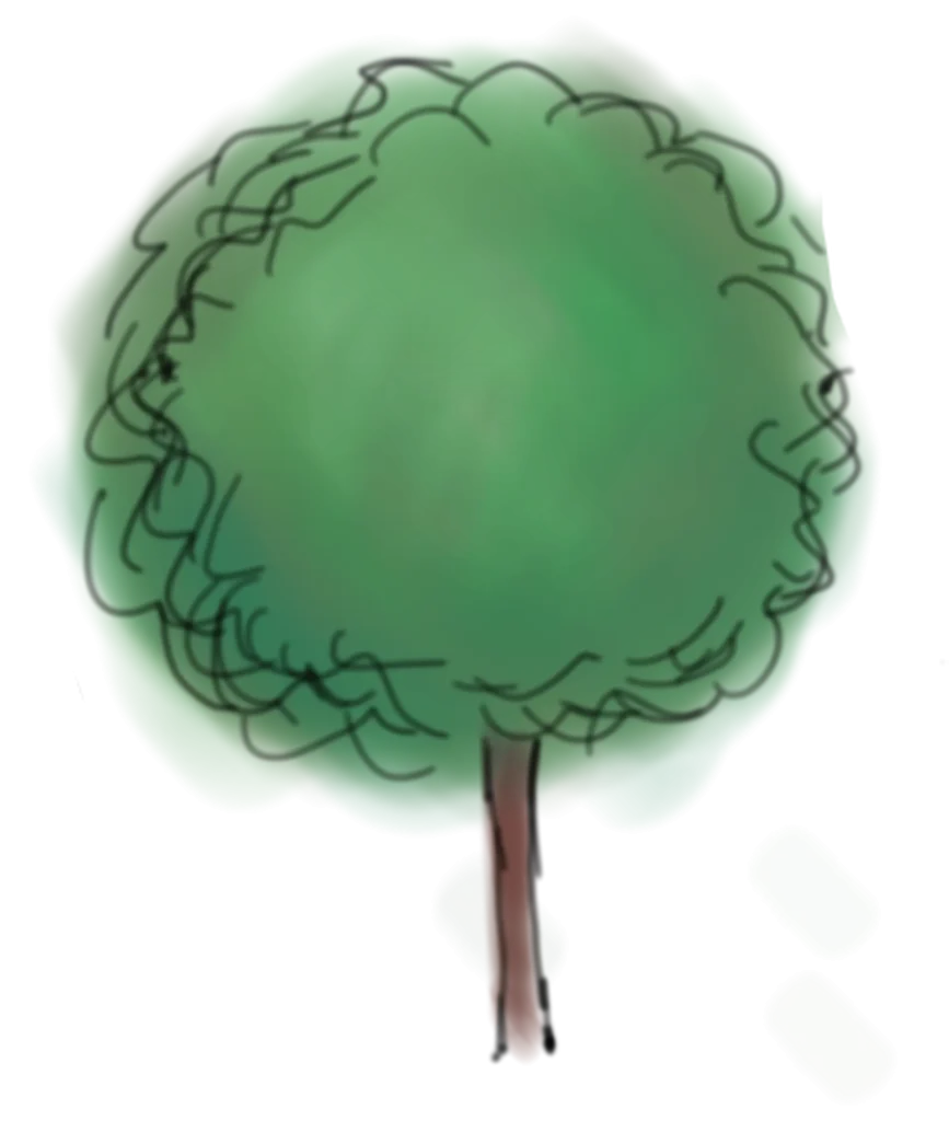 Eine von Cornelia handgezeichnete Illustration eines Baumes, wie er auch im Gartenplan dargestellt werden würde. Koloriert in Grüntönen.