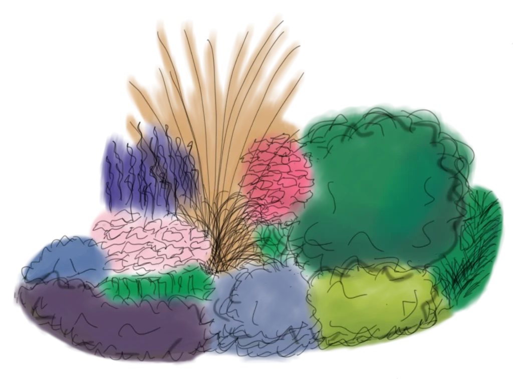 Handgezeichnete Illustration einer Staudenrgruppe in 3-D-Ansiicht